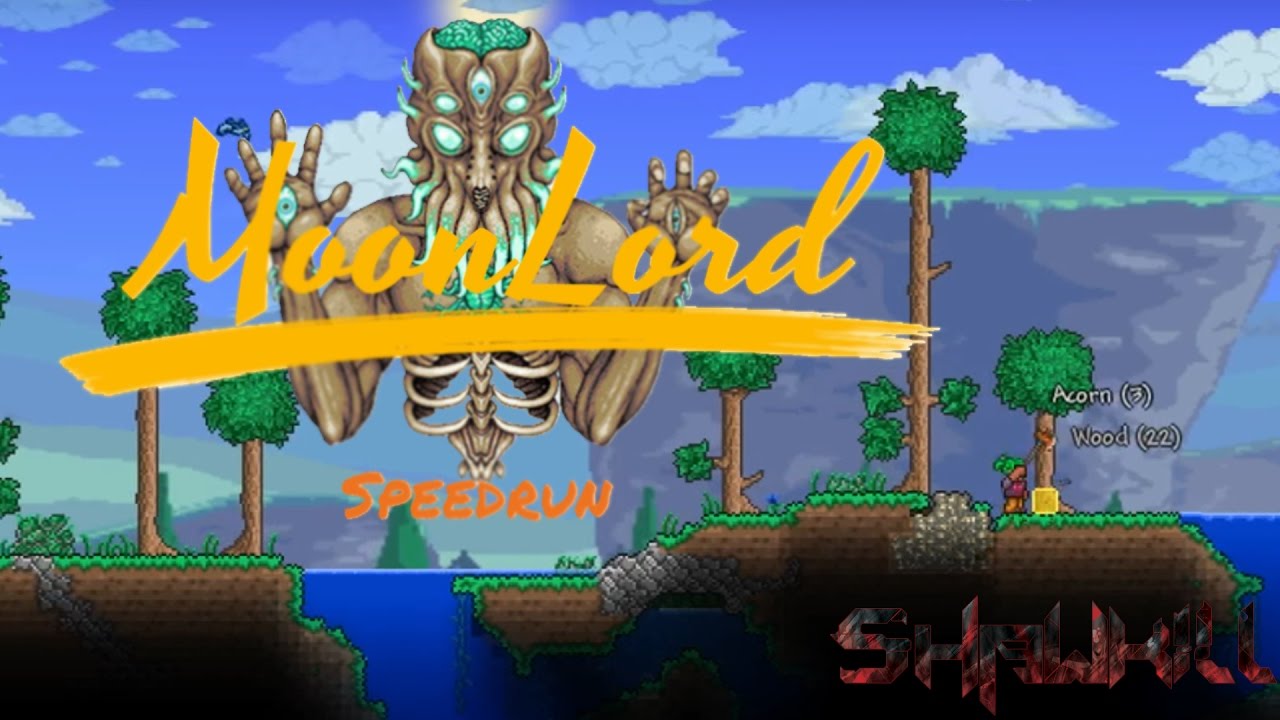 [Any%] Moon Lord Speedrun 