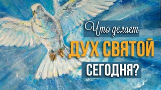 Что делает Дух Святой сегодня?  | Николай Лапшин