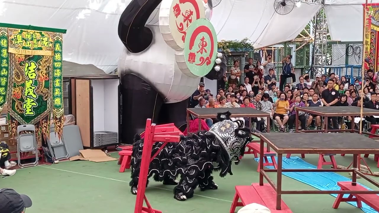 19馬來西亞鴻威龍獅體育會。尋青。第六屆雄獅樓杯獅王競賽2025 譚公誕  2025 5 4