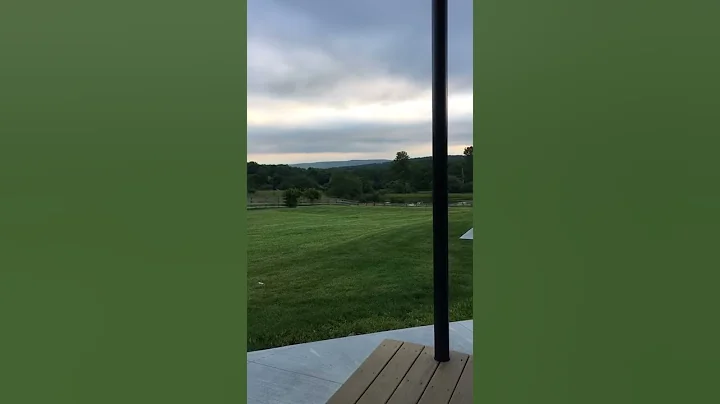 Farm Sanctuary-July 2017