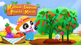 PANDA Kecil Bercocok Tanam,Merawat kebun impian..