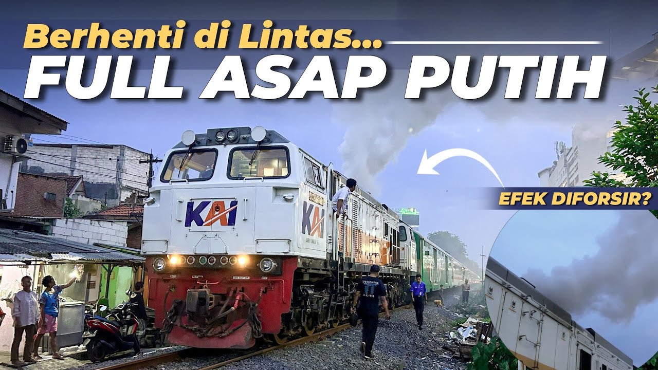 CC 206 KELUAR ASAP PUTIH & BERHENTI DI LINTAS😱 !! - Gangguan Lokomotif KA Wijayakusuma di Wonokromo