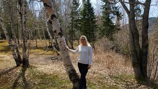 Haie brise-vent Épisode 1 : Un vent qui décoiffe et qui fait pousser les arbres croches !