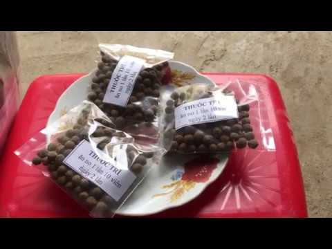 Hướng Dẫn Sử Dụng Thuốc Gia Truyền Chữa bệnh Trĩ Nội - Trĩ Ngoại - 0976 836 586