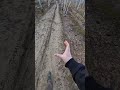 Что со мной случилось в Яндекс Такси. Второй день мистер палец.