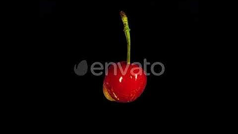 Isolated Cherry with Alpha Matte | Motion Graphics - Envato elements