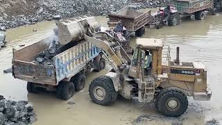 Catterpillar 966D Wheel Loader : Big Rock Loading : Heavy Duty Equipemnt in Action