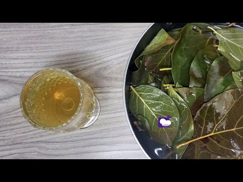 Avocado Tea Recipe For Weight Loss