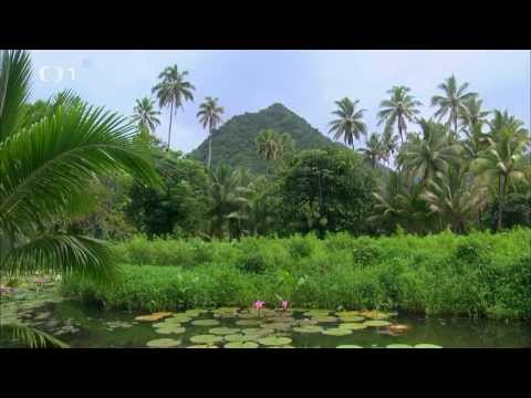 Video: Tahiti Pred 100 Rokmi A Dnes [PIC] - Sieť Matador
