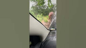 2016 dodge journey new fob#allockandkeyco #locksmithlife #stl #work