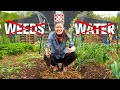 Start a lazy garden from scratch  never weedwater again