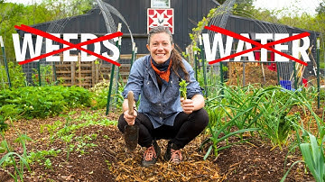 Start a Lazy Garden From Scratch | NEVER Weed/Water Again!