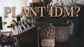 Letting My Plants Control My Synthesizers (Organic IDM)