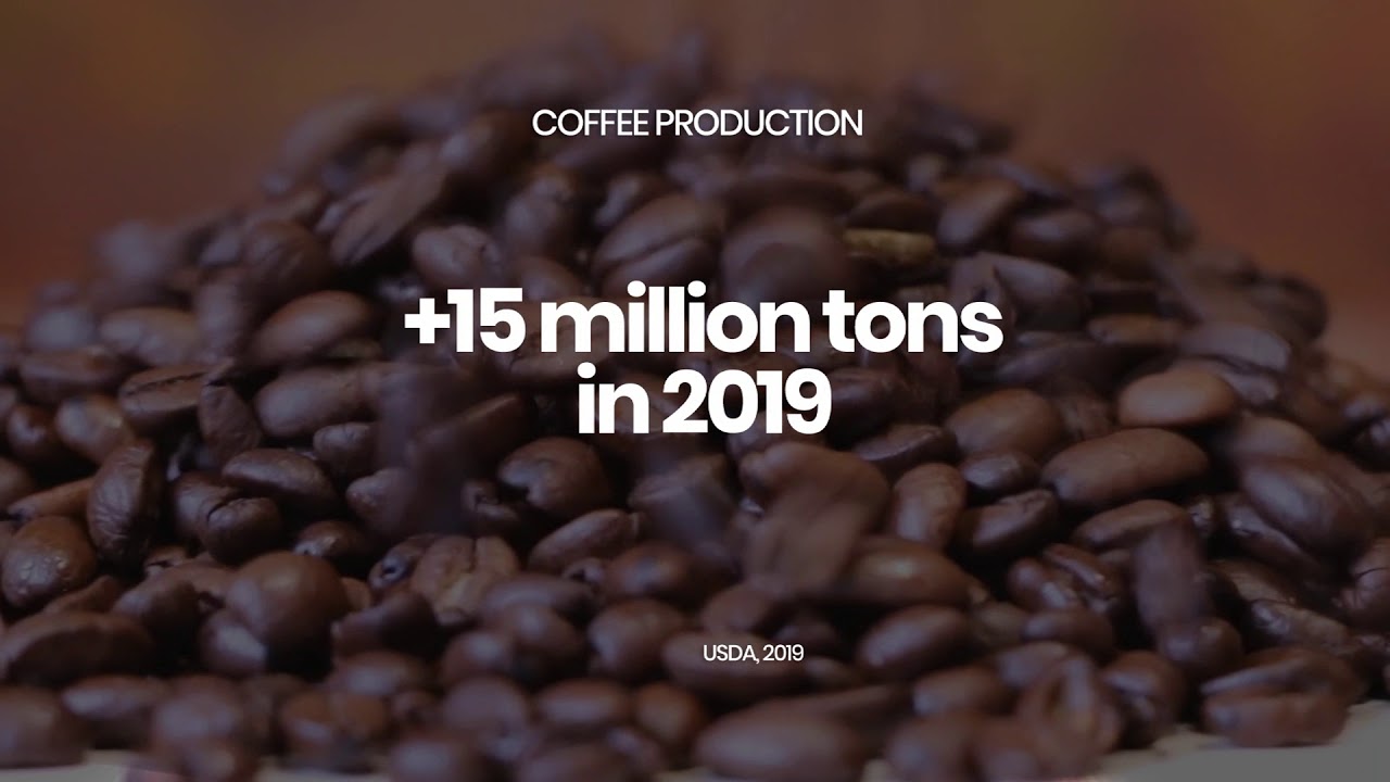 Conilon Robusta Coffee