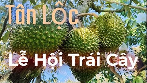 Tân Lộc - Lễ Hội Trái Cây. Tan Loc Fruit Festival.