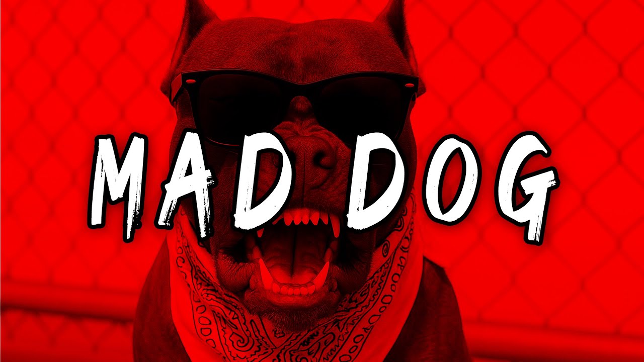 Aggressive Fast Gangsta Freestyle Rap Beat Instrumental ''MAD DOG