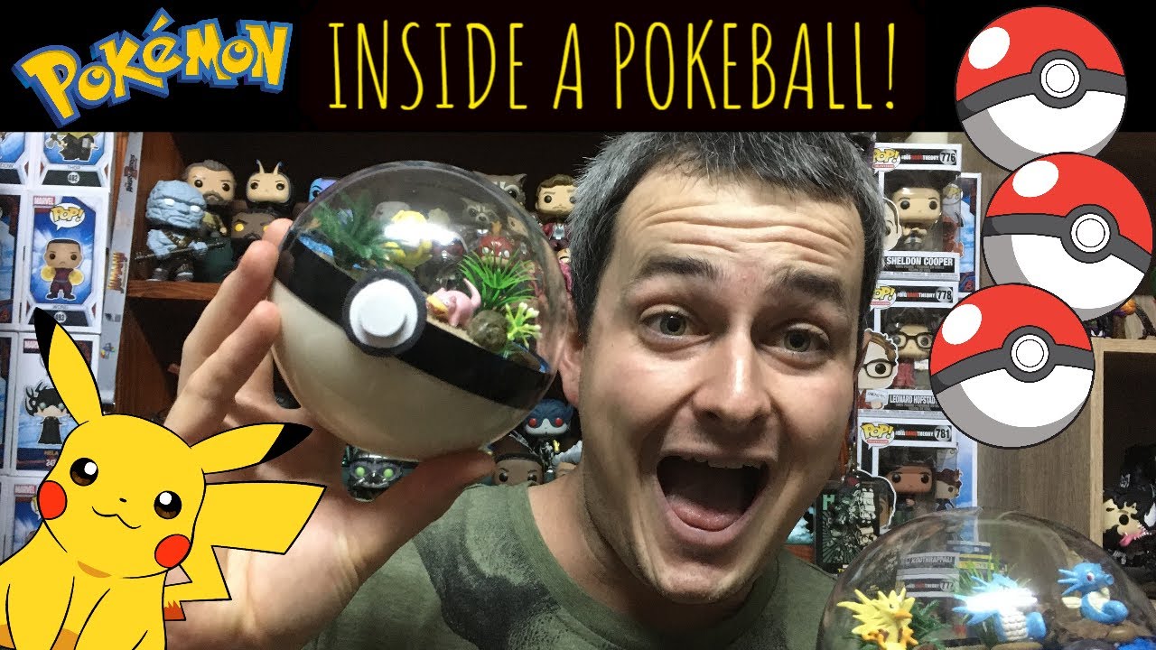 What Does It Look Like Inside A Pokeball How To Make A Pokemon What does it look like inside a pokeball how to make a pokemon
