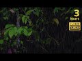 夜の雨の音でリラックスする３時間