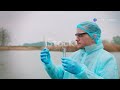 Biological Characteristics of Wastewater