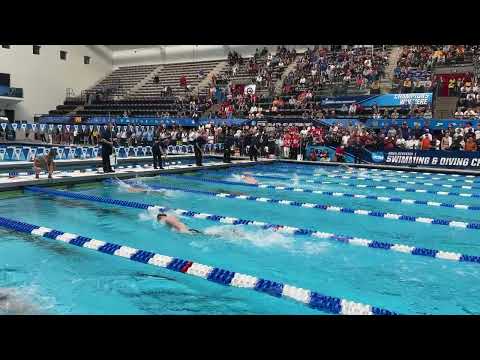 Leon Marchand 4:02.31 500y Free NCAA RECORD