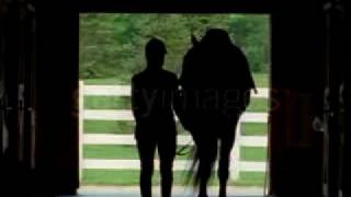 Best Of Friends:Dressage Friendships