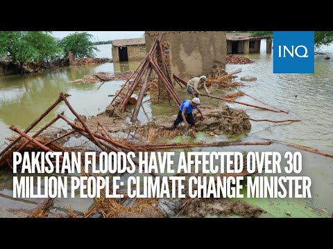 Pakistan floods have affected over 30 million people: climate change minister