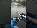 Japan Fishing ASMR - Trout Fight#169🎣