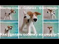 Валяные игрушки. Как сделать собачку из шерсти | Felted toys.How to make a dog out of wool (felting)