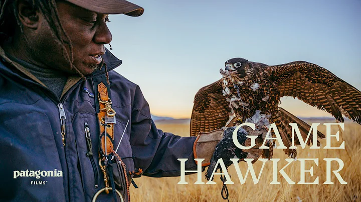 Game Hawker | A Wild Journey to Falconry