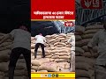 Hingoli News | चक्रीवादळाचा 40 हजार क्विंटल हरभराला फटका