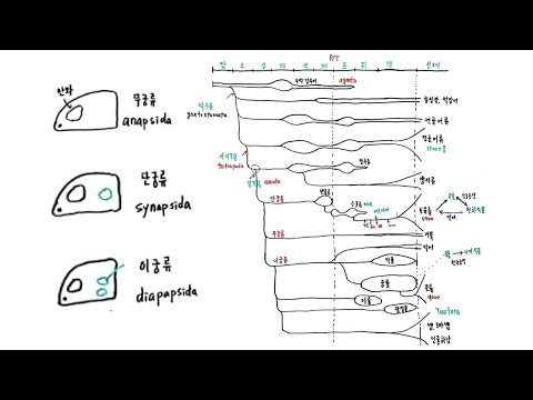 Platform.척추동물의 분류