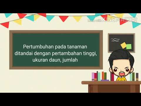 Video: Apa tiga kebutuhan yang umum untuk semua makhluk hidup?