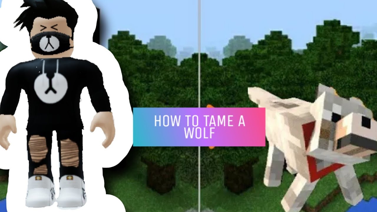 HOW TO TAME A WOLF IN MINECRAFT! (I FOUND A