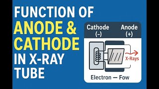 Famous Understanding Anode & Cathode Function in X-Ray Tube | Radiology Tutorial Net Worth