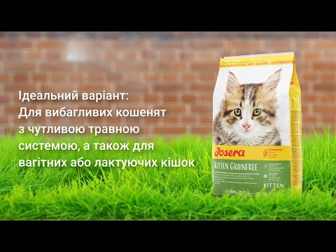 Сухий корм для кошенят Josera KITTEN grainfree беззерновий 2 кг, видео 1
