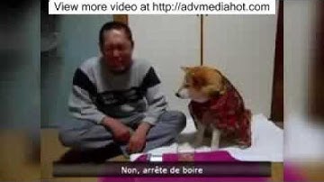 NEW Epic Fail/Win Compilation PART 16