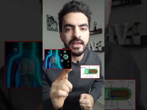 سعار القطط والكلاب وجهاز المناعة