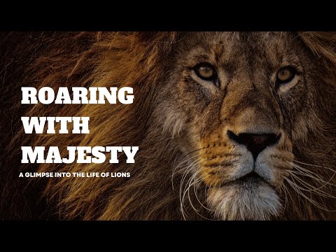 The Sound of a Moose : Unleashing the Majestic Roar