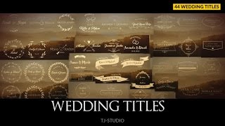 After Effects Template: Wedding Titles screenshot 5