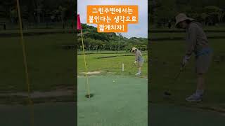 파크골프 그린 주변에서는 이렇게 하면 망함 ㅋ #파크골프 #어프로치샷 #구독과좋아요