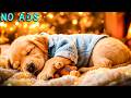 15 Stunden entspannende Musik für Hunde 🎵💖 Friedliche Schlaftherapie 🐶 Angstabbau &amp; Schlaf