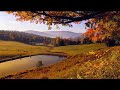 HUZURLU MÜZİKLER ☺️😍 | HUZUR MÜZİKLERİ| UYKU MÜZİKLERİ | YAĞMUR SESİ | KUŞ SESİ 🐦🕊️