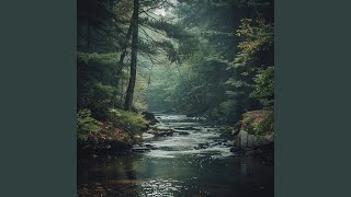 Tranquil Paths for Quiet Relaxation