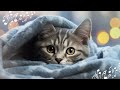 Best CAT LULLABY ♫ lullaby music for cats ♫ Relaxing MUSIC FOR CATS