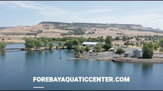 Download lagu Visit the Forebay Aquatic Center!