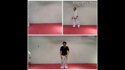 Aikido Ukemi (Falling technique)