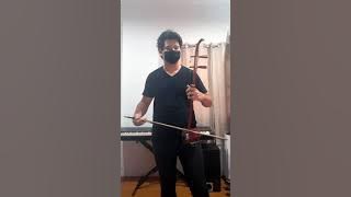 【Erhu】 - Learn To Meow 【小潘潘   學貓叫】Cover by Roro