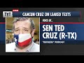 Ted Cruz: My Wife Is "Pretty Pissed" About Leaked Cancun Texts