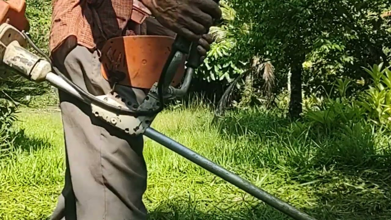 Sítio abençoado, limpeza/corte de grama 🌿/@grama....