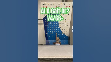 Al A Gait Or?, V4/6B+ - 2016 MoonBoard Benchmark with Sierra Blair #moonboardbenchmarks